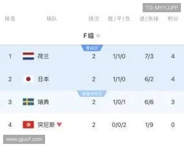突尼斯1-3荷兰:世界杯F组末轮战报 突尼斯1-3荷兰:世界杯F组末轮战报